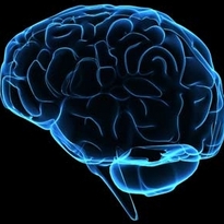 Behavioral Health