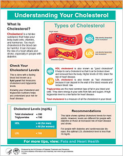 Understanding Your Cholesterol