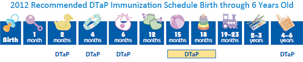 2012 Recommended DTaP Immunization Schedule Birth through 6 Years Old - at 2 months, 4 months, 6 months, 15-18 months and between 4 to 6 years your child should receive DTaP Immunizations