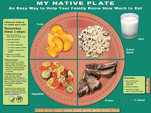 My Native Plate is an easy way to help your family know how much to eat.