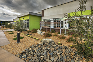 The IHS Desert Sage Youth Wellness Center in Hemet, Calif., include xeriscaping to minimize water use by planting indigenous species that are compatible with the local climate to reduce or eliminate the need for irrigation. This is one of many IHS efforts to reduce our impact on the environment.