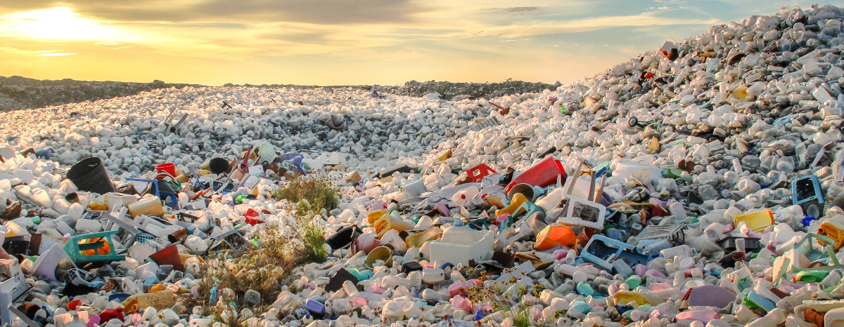 In 2014, 33 million tons of plastic waste was generated in the US and only 9% was recovered for recycling. Most plastic waste ends up in landfills, but a large amount is discharged through stormwater runoff into oceans, where it accumulates and causes physical harm to aquatic life such as birds, fish and, marine mammals.

While animals can get entangled in larger plastic items, approximately 90% of the plastics in marine environments deteriorate to small particles of less than five millimeters in size, called microplastics. These tiny plastic beads are very difficult to remove and are ingested by wildlife; some of which are a human food source.

What You Can Do:

Buy items with less packaging
Bring reusable bags to stores
Use reusable containers instead of plastic bags
Use reusable water bottles and coffee cups
Don't buy cleaning or health/beauty products with microbeads
REDUCE, REUSE and RECYCLE!