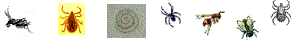 bugs2.gif (3749 bytes)