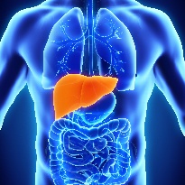 Metabolic Dysfunction-Associated Steatotic Liver Disease in Type 2 Diabetes