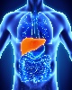 Metabolic Dysfunction-Associated Steatotic Liver Disease in Type 2 Diabetes