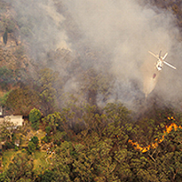 Wildfire Smoke and Mental Health