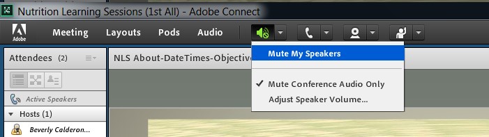 Adobe Connect Dialog box