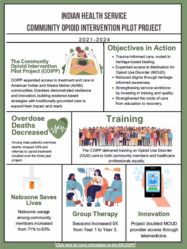 IHS COIPP Pilot Project infographic