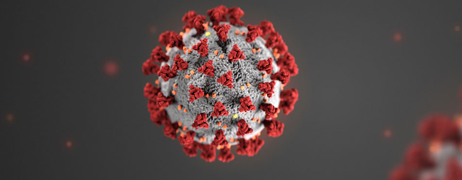 Coronavirus Disease 2019