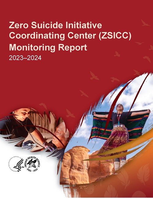 Suicide Risk Strategies Report cover