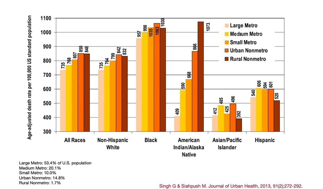 Bar graph showing highest mortality rate is American Indian/Alaska Natives in rural non metro areas, Journal of Urban Health