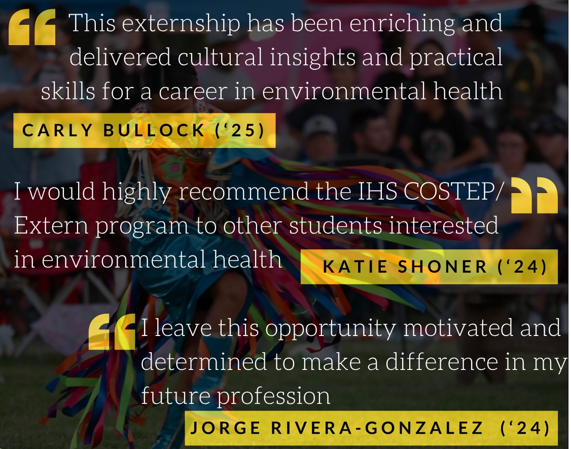 DEHS Extern Program 2024
