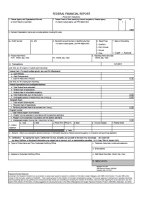 federal financial report SF-425