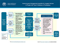 Screening and Management Algorithm for Hepatic Fibrosis in People with Type 2 Diabetes or Prediabete