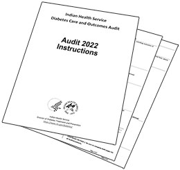 Audit 2022 instructions and forms.