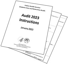 Audit 2023 instructions and forms.