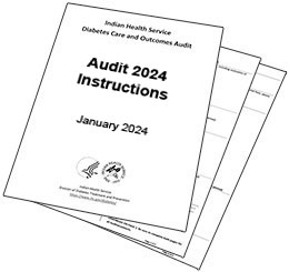 Audit 2024 instructions and forms.