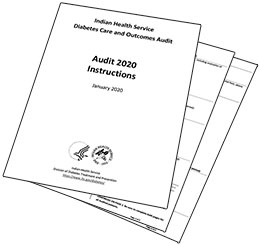 Audit 2020 instructions and forms.