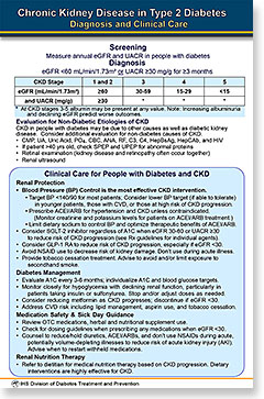 Thumbnail image of Chronic Kidney Disease in Type 2 Diabetes