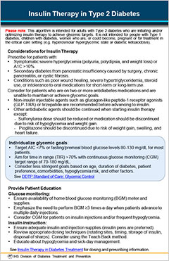 Insulin Therapy in Type 2 Diabetes