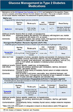 Glucose Management in Type 2 Diabetes Medications