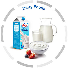 Dairy Foods