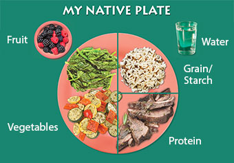 My Native Plate - Fruit, Vegetables, Protein, Grain/Starch, and Water