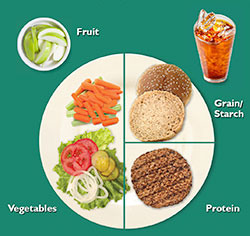 My Native Plate - Apple, carrots, celery, lettuce, tomato, onion, pickle, beef patty, bun, unsweetened tea