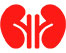 Kidneys icon