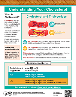 Thumbnail image of Understanding Your Cholesterol