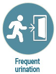 Frequent urination