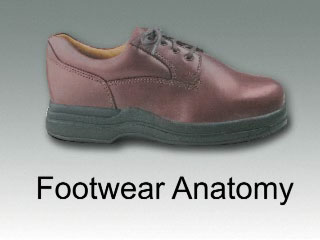 Thumbnail - clicking will open video - Footwear Anatomy