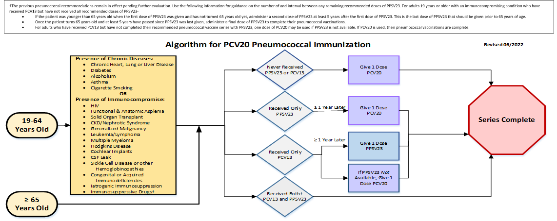 updated-recommendations-for-adult-pneumococcal-vaccination-resources