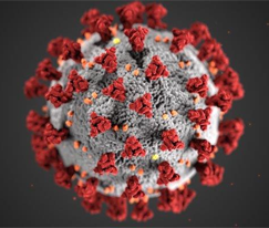 Rendering of Covid-19 from the CDC