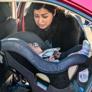 Lodge Grass Car Seat Check