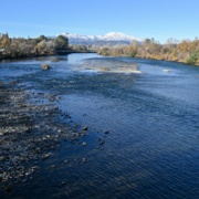 North California Landscape