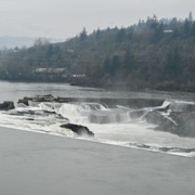 Oregon River