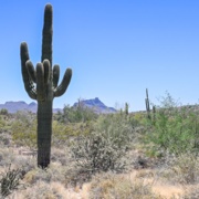 Red Mountain