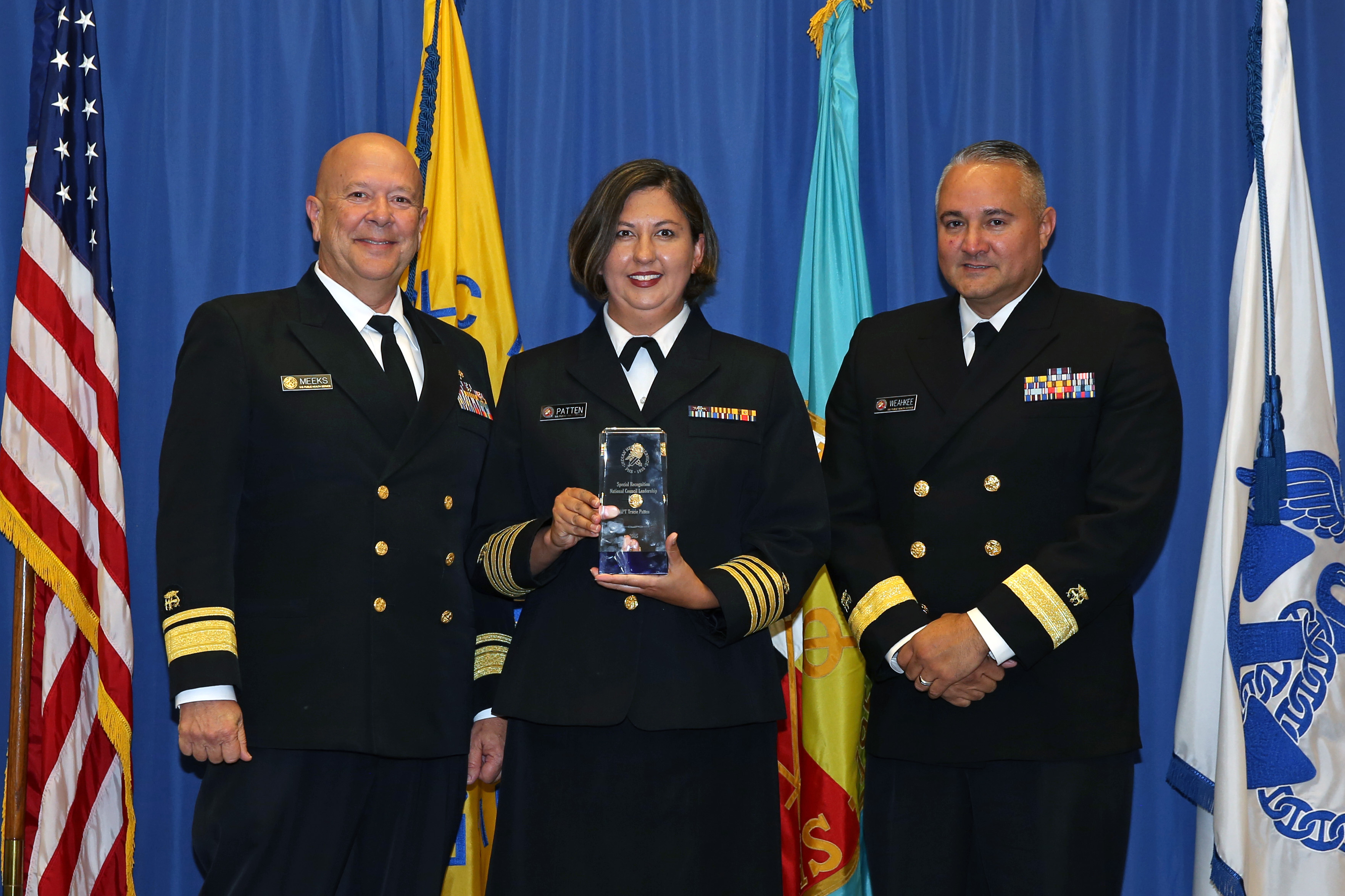 2015 Special Recognition National Council Leadership Award - CAPT Traci Patten, National Pharmacy Council (Oklahoma)