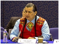 Thumbnail - clicking will open full size image - HHS 15th Annual Tribal Consultation and Policy Meeting, March 2013, Washington, D.C.