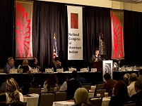 Thumbnail - clicking will open full size image - NCAI Executive Council Winter Session, Washington, D.C.