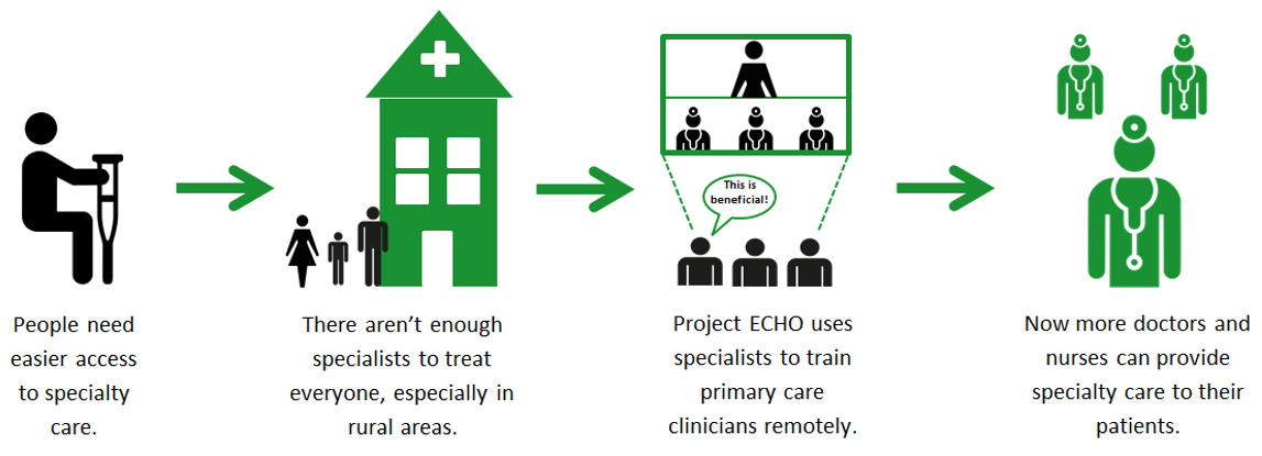 Diagram of the project ECHO learning practice model 