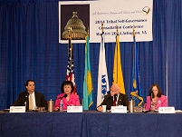 Thumbnail - clicking will open full size image - Tribal Self-Governance Consultation Conference in Arlington, VA, May 2014