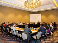 Thumbnail - clicking will open full size image - IHS Agency Lead Negotiators Meeting, May 2014