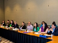 Thumbnail - clicking will open full size image - IHS Agency Lead Negotiators Meeting, May 2014