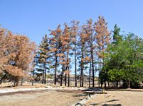 Thumbnail - clicking will open full size image - Southern California Youth Regional Treatment Center Groundbreaking