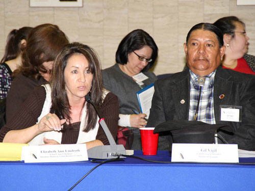 Speaker at the HHS Tribal Budget Formulation and Consultation Session