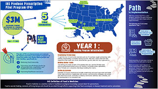 Thumbnail image of P4 Year 1 Impact Infographic