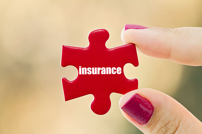 A red puzzle piece with the word Insurance in white on it.