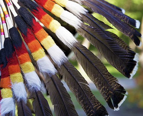 Feather detail